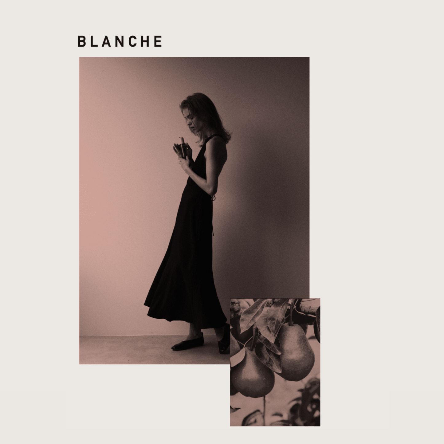BLANCHE LOA OIL CARE ロア オイル ケア