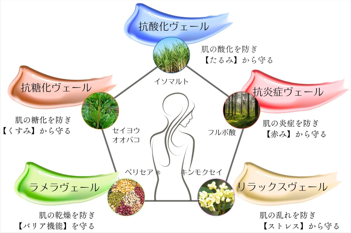 イッタナジオ クリーム F　